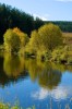 Файл=DSC00386.jpg
Объём=187KB
Размеры=787x1181
Дата=Окт 01, 2006 DSC00386.jpg