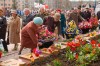 Файл=DSC09316.jpg
Объём=270KB
Размеры=1772x1181
Дата=Май 09, 2008 DSC09316.jpg