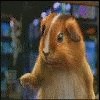 Файл=Ниндзя.gif
Объём=398KB
Размеры=100x100
Дата=Апр 15, 2007 Ниндзя.gif