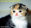 Файл=где_моя_половинка.jpg
Объём=41KB
Размеры=400x365
Дата=Дек 13, 2006 где_моя_половинка.jpg