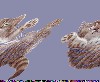 Файл=отдахнём!.gif
Объём=36KB
Размеры=199x164
Дата=Апр 15, 2007 отдахнём!.gif