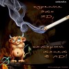 Файл=b87d8c0074f1.jpg
Объём=44KB
Размеры=400x400
Дата=Сент 02, 2006 b87d8c0074f1.jpg