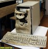 Файл=Изображение_006.jpg
Объём=31KB
Размеры=500x501
Дата=Нояб 02, 2006 Изображение_006.jpg