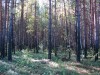 Файл=DSC00048_1.jpg
Объём=1384KB
Размеры=1600x1200
Дата=Сент 19, 2006 DSC00048_1.jpg