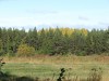 Файл=DSC00054_1.jpg
Объём=828KB
Размеры=1600x1200
Дата=Сент 19, 2006 DSC00054_1.jpg