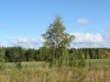 Файл=DSC00060_1.jpg
Объём=769KB
Размеры=1600x1200
Дата=Сент 19, 2006 DSC00060_1.jpg