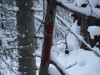 Файл=DSC00352_1.jpg
Объём=494KB
Размеры=1600x1200
Дата=Янв 05, 2007 DSC00352_1.jpg