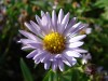 Файл=DSC00440_1.jpg
Объём=434KB
Размеры=1600x1200
Дата=Сент 19, 2006 DSC00440_1.jpg