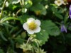 Файл=DSC00477_1.jpg
Объём=388KB
Размеры=1600x1200
Дата=Сент 19, 2006 DSC00477_1.jpg