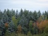 Файл=DSC00497_1.jpg
Объём=848KB
Размеры=1600x1200
Дата=Сент 19, 2006 DSC00497_1.jpg