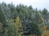 Файл=DSC00501_1.jpg
Объём=1067KB
Размеры=1600x1200
Дата=Сент 19, 2006 DSC00501_1.jpg