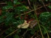 Файл=DSC00591_1.jpg
Объём=448KB
Размеры=1600x1200
Дата=Сент 19, 2006 DSC00591_1.jpg