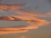 Файл=DSC00763_1.jpg
Объём=286KB
Размеры=1600x1200
Дата=Сент 20, 2006 DSC00763_1.jpg