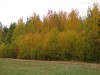 Файл=DSC00789_1.jpg
Объём=948KB
Размеры=1600x1200
Дата=Сент 22, 2006 DSC00789_1.jpg