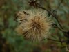 Файл=DSC00830_1.jpg
Объём=553KB
Размеры=1600x1200
Дата=Сент 22, 2006 DSC00830_1.jpg