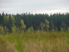 Файл=DSC00850_1.jpg
Объём=495KB
Размеры=1600x1200
Дата=Сент 22, 2006 DSC00850_1.jpg