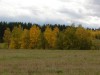 Файл=DSC00935_1.jpg
Объём=693KB
Размеры=1600x1200
Дата=Сент 27, 2006 DSC00935_1.jpg