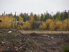 Файл=DSC00945_1.jpg
Объём=891KB
Размеры=1600x1200
Дата=Сент 27, 2006 DSC00945_1.jpg