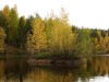 DSC00953_1.jpg