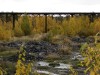 Файл=DSC00958_1.jpg
Объём=930KB
Размеры=1600x1200
Дата=Сент 27, 2006 DSC00958_1.jpg