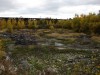Файл=DSC00960_1.jpg
Объём=883KB
Размеры=1600x1200
Дата=Сент 27, 2006 DSC00960_1.jpg