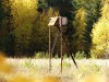 Файл=DSC01120_1.jpg
Объём=678KB
Размеры=1600x1200
Дата=Апр 19, 2007 DSC01120_1.jpg