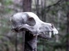 Файл=DSC01490_1.jpg
Объём=408KB
Размеры=1600x1200
Дата=Окт 24, 2006 DSC01490_1.jpg
