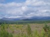 Файл=konzhak_near_kitlym.JPG
Объём=866KB
Размеры=2272x1704
Дата=Авг 22, 2006 konzhak_near_kitlym.JPG