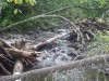 Файл=mountain_river_vozle_privala.JPG
Объём=888KB
Размеры=2272x1704
Дата=Авг 22, 2006 mountain_river_vozle_privala.JPG