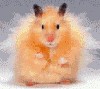 Файл=18c43af51e9c0e0d3d8c5fd7374fe93d.gif
Объём=20KB
Размеры=114x102
Дата=Окт 22, 2007 18c43af51e9c0e0d3d8c5fd7374fe93d.gif