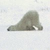 Файл=animatedfunhumoura20_20070518_1452718395.gif
Объём=35KB
Размеры=100x100
Дата=Сент 10, 2007 animatedfunhumoura20_20070518_1452718395.gif