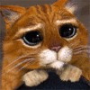 Файл=animatedfunhumourd4_20070526_1589305322.gif
Объём=73KB
Размеры=100x100
Дата=Сент 10, 2007 animatedfunhumourd4_20070526_1589305322.gif