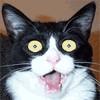Файл=animatedfunhumournew21_20070526_1049085595.gif
Объём=13KB
Размеры=100x100
Дата=Сент 10, 2007 animatedfunhumournew21_20070526_1049085595.gif