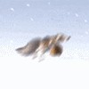 Файл=cartoonfilmsgif147_20070425_1962395436.gif
Объём=20KB
Размеры=100x100
Дата=Сент 10, 2007 cartoonfilmsgif147_20070425_1962395436.gif