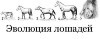 Файл=333.jpg
Объём=9KB
Размеры=400x156
Дата=Май 29, 2007 333.jpg