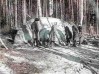 Файл=nlo_01.jpg
Объём=38KB
Размеры=448x336
Дата=Фев 23, 2008 nlo_01.jpg
