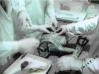 Файл=nlo_06.jpg
Объём=24KB
Размеры=448x336
Дата=Фев 23, 2008 nlo_06.jpg