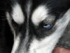 DSCN8919.jpg