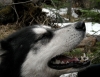 DSCN8922.jpg