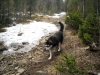 Файл=DSCN8925.jpg
Объём=306KB
Размеры=1200x900
Дата=Июнь 02, 2010 DSCN8925.jpg