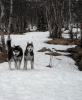Файл=DSCN8956.jpg
Объём=222KB
Размеры=991x1200
Дата=Июнь 02, 2010 DSCN8956.jpg