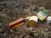 DSCN8993.jpg