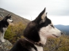 DSCN9004.jpg