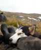 DSCN9011.jpg