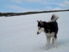 DSCN9066.jpg