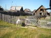 Файл=DSCN0441.jpg
Объём=272KB
Размеры=1200x900
Дата=Июль 26, 2010 DSCN0441.jpg