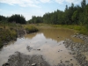 Файл=DSCN0470.jpg
Объём=160KB
Размеры=1200x900
Дата=Авг 01, 2010 DSCN0470.jpg