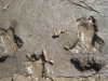 Файл=DSCN0492.jpg
Объём=260KB
Размеры=1200x900
Дата=Авг 01, 2010 DSCN0492.jpg