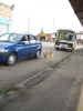 Файл=DSCN0552.jpg
Объём=162KB
Размеры=900x1200
Дата=Авг 01, 2010 DSCN0552.jpg