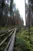 Файл=6540.jpg
Объём=247KB
Размеры=803x1200
Дата=Сент 05, 2010 6540.jpg